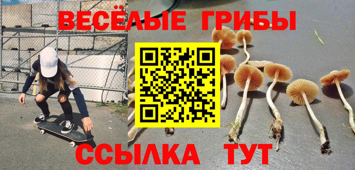 Белорецк  Псилоцибиновые грибы Psilocybine cubensis  Вход с VPN 