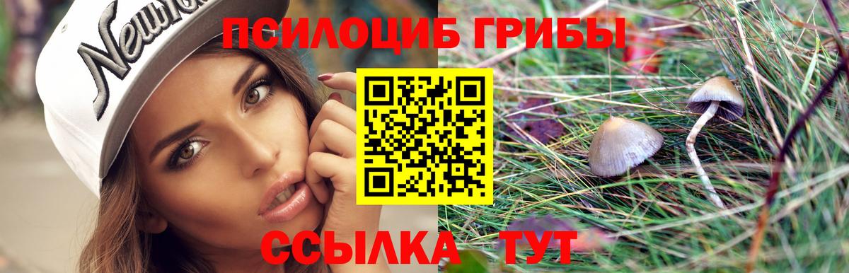 Псилоцибиновые грибы мухоморы Белорецк